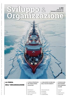 Sviluppo&Organizzazione