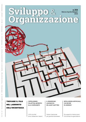Sviluppo&Organizzazione