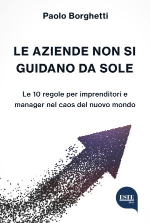 LE AZIENDE NON SI GUIDANO DA SOLE