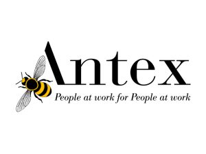 Antex